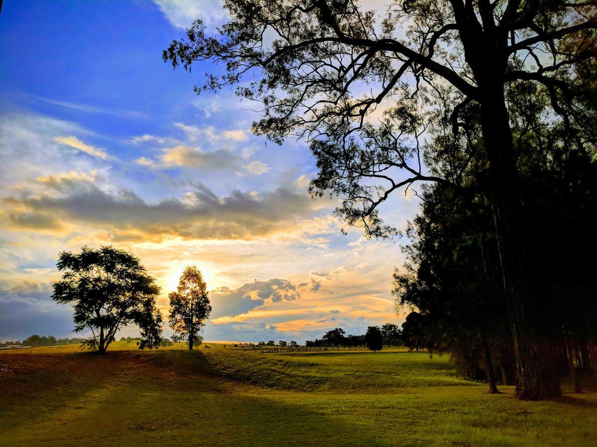 Madigan Wine Country Cottages Lovedale Extérieur photo