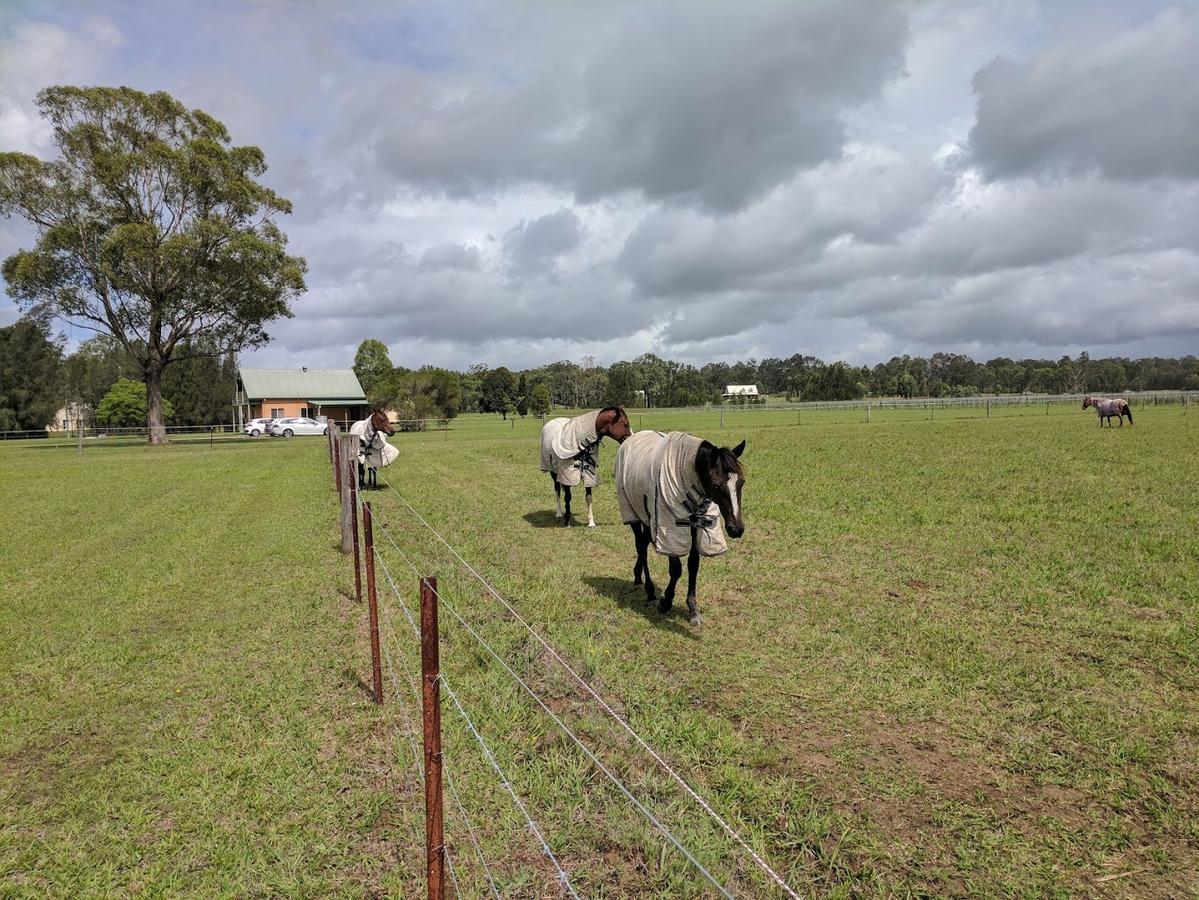 Madigan Wine Country Cottages Lovedale Extérieur photo